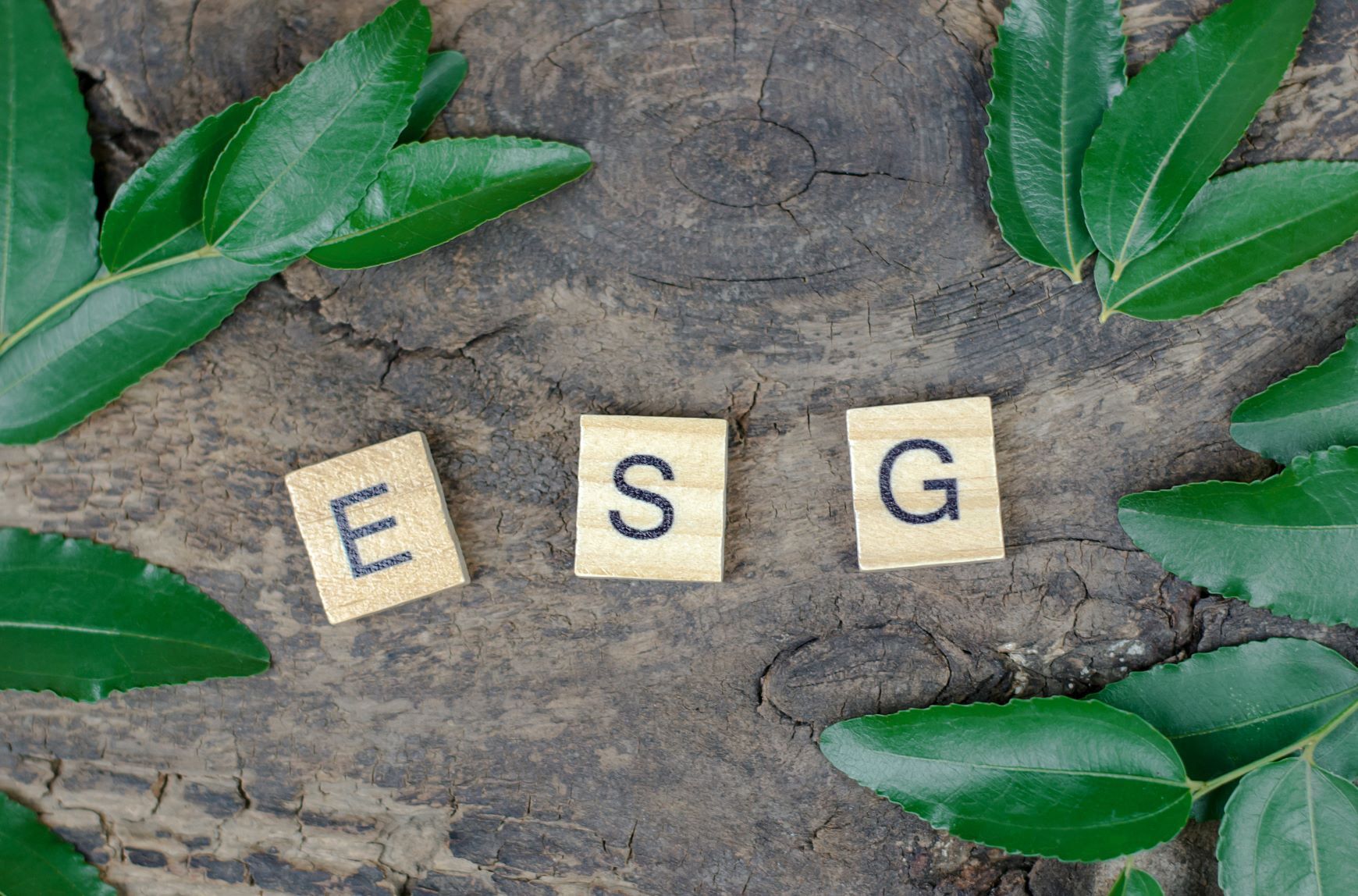 Odpowiedzialne portfele – 5 mitów o odpowiedzialnym inwestowaniu ESG
